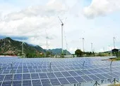 EVN lo lắng hướng phát triển nguồn điện năng lượng tái tạo ảnh 2 Quy hoạch điện VIII: Lo tính ổn định của điện gió, mặt trời