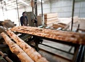 Doanh nghiệp gỗ muốn mở lối đi mới để hồi phục sản xuất
