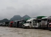 Họp báo 'nóng' về hàng ngàn xe chở hàng Việt ùn ứ ở cửa khẩu ảnh 2 Hải quan họp báo khẩn vụ hàng Việt mắc kẹt ở cửa khẩu phía Bắc