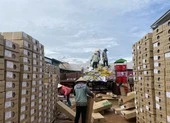 Hôm nay, cửa khẩu Tân Thanh thông quan trở lại ảnh 2 Hàng triệu cành hoa Đà Lạt thoát nguy cơ làm phân