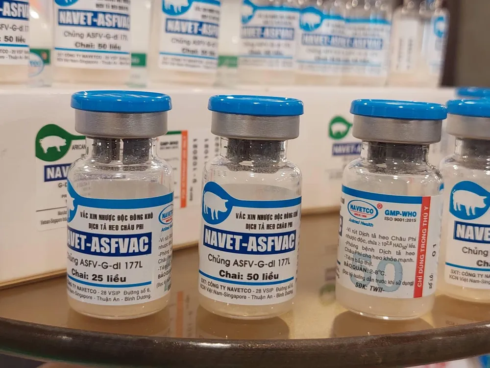 Vaccine NAVET-ASFVAC dự kiến có giá bán khoảng 34.000-36.000 đồng/liều. Ảnh: AH Vaccine NAVET-ASFVAC dự kiến có giá bán khoảng 34.000-36.000 đồng/liều. Ảnh: AH