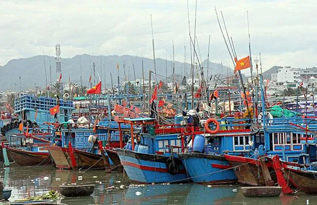Thống kê đến thời điểm hiện nay tàu cá ngừng hoạt động chiếm khoảng 40-55%. Ảnh minh hoạ