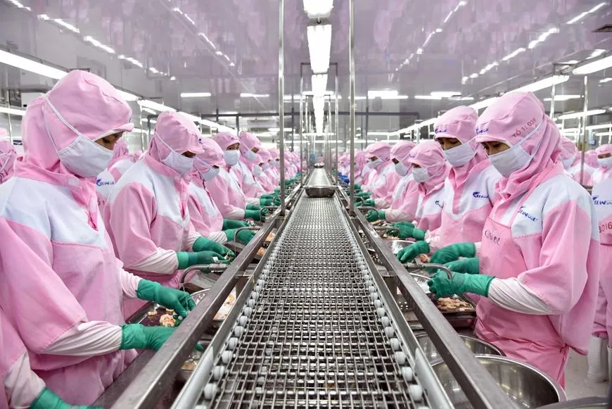 Các doanh nghiệp thuỷ sản đang chịu áp lực từ chi phí sản xuất tăng cao. Ảnh minh hoạ: VASEP