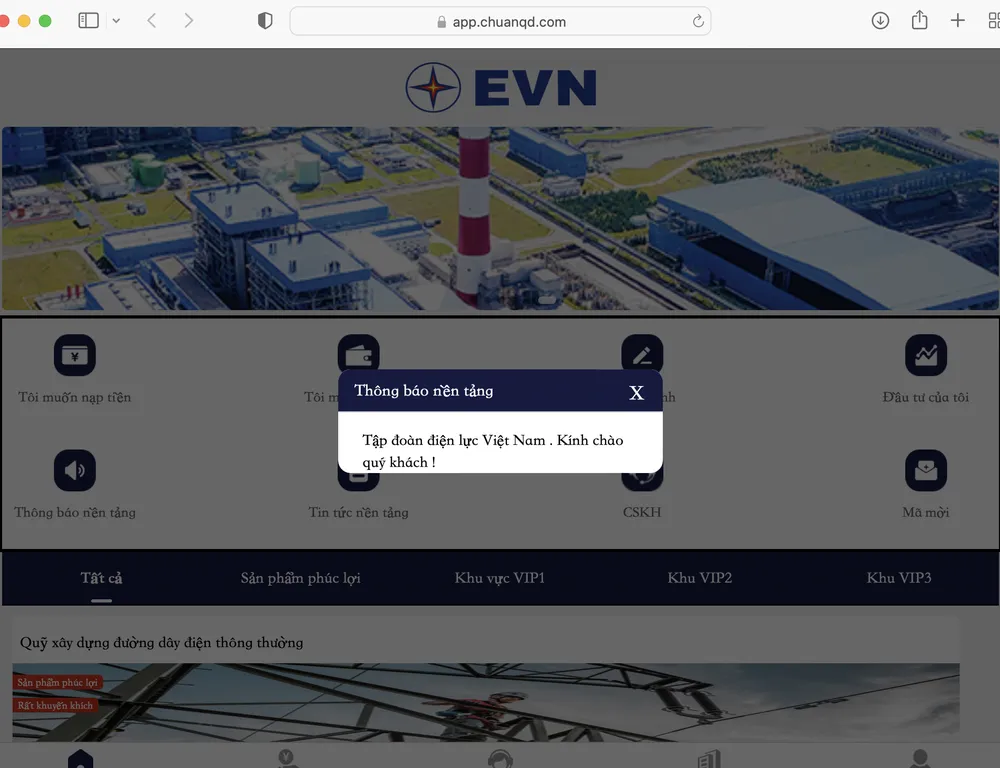 Giao diện trang web giả mạo thương hiệu của Tập đoàn Điện lực Việt Nam. Ảnh chụp màn hình