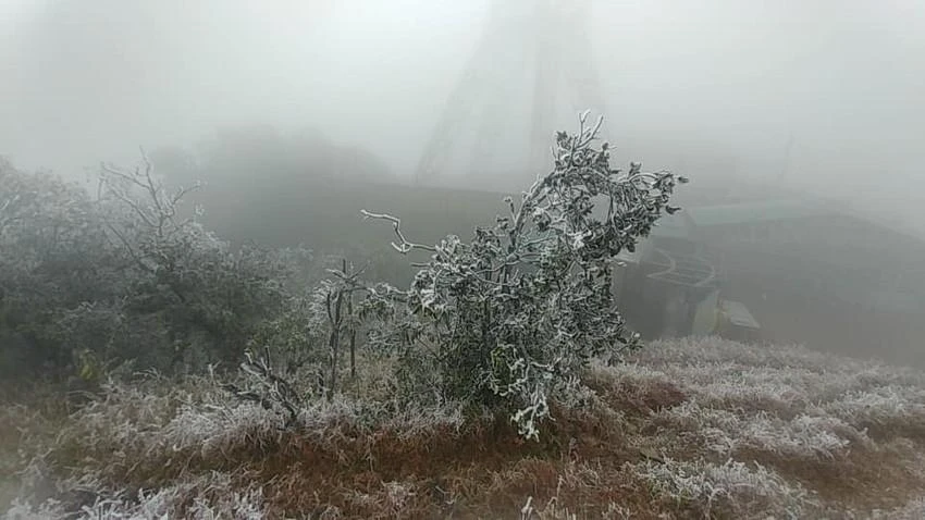 Trong đợt rét sâu này, nhiệt độ vùng núi cao xuống thấp dưới 0 độ nên có thể xảy ra hiện tượng băng giá. Ảnh minh hoạ: HẠNH LÊ
