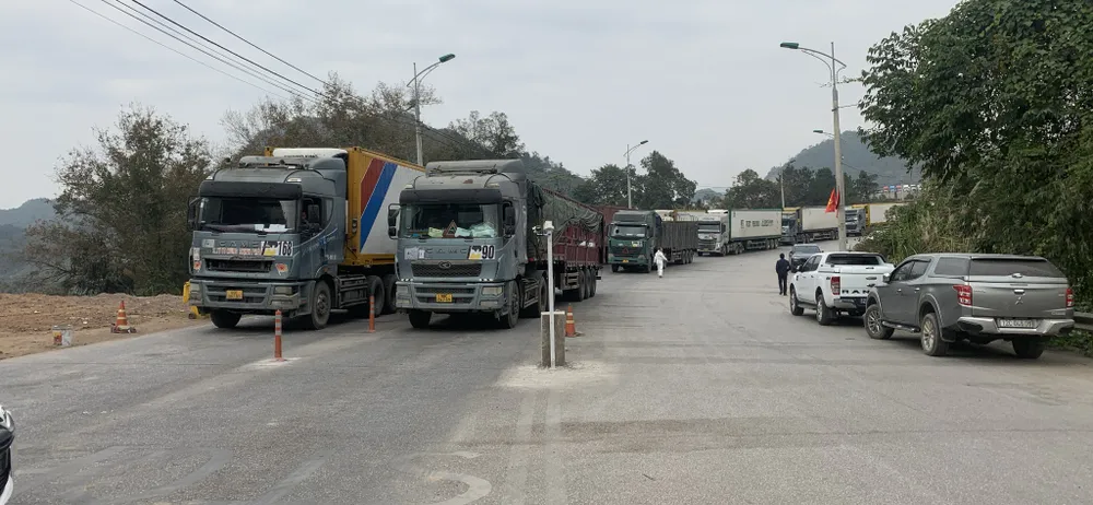 Các phương tiện đang chờ xuất hàng qua biên giới vào ngày đầu tiên Trung Quốc nới lỏng các biện pháp phòng dịch. Ảnh: BẮC NINH