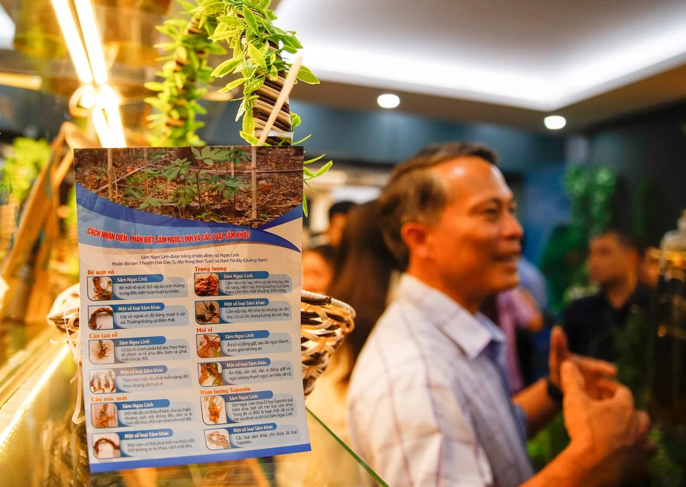 Cách nhận diện sâm Ngọc Linh và một số loại sâm khác.