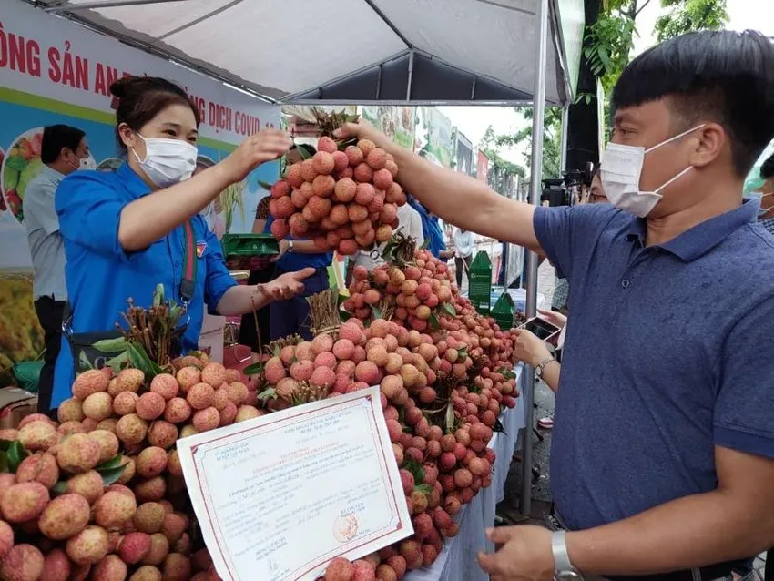 Thủ tướng giao các Bộ Công Thương, NN&PTNT có giải pháp đẩy mạnh tiêu thụ các loại nông sản đang trong thời vụ thu hoạch tại thị trường trong nước. Ảnh: AH Thủ tướng giao các Bộ Công Thương, NN&PTNT có giải pháp đẩy mạnh tiêu thụ các loại nông sản đang trong thời vụ thu hoạch tại thị trường trong nước. Ảnh: AH