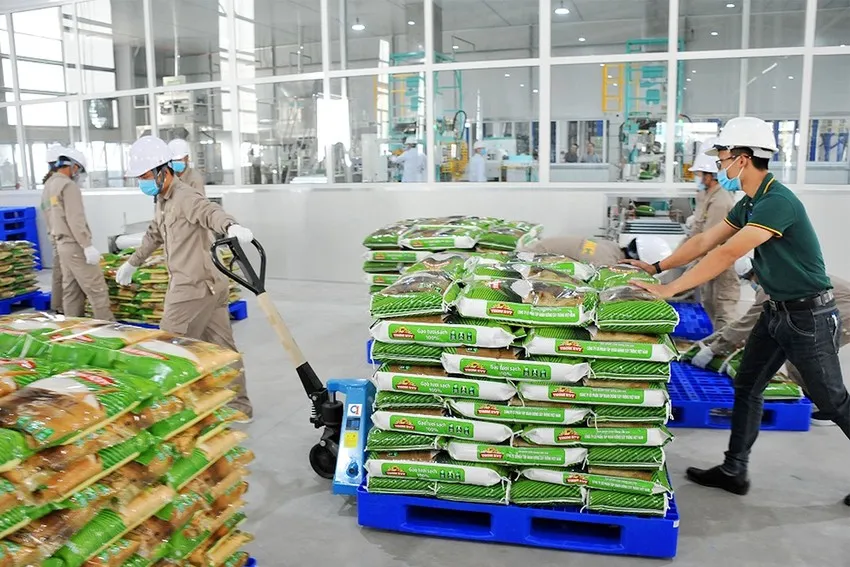 Để đảm bảo đủ lương thực dự trữ quốc gia, sẵn sàng ứng phó với thiên tai, Tổng cục Dự trữ Nhà nước yêu cầu các Cục DTNN khu vực khẩn trương triển khai việc nhập gạo. Ảnh: PLO