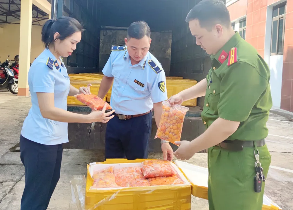 Lực lượng chức năng Lào Cai phát hiện một lô hàng vận chuyển trứng gà non đông lạnh không rõ nguồn gốc. Ảnh: DMS Phát hiện trứng gà non đông lạnh không rõ nguồn gốc xuất xứ.