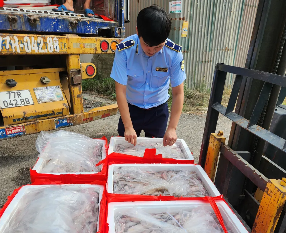 Lực lượng chức năng tỉnh Thanh Hoá vừa phát hiện một lượng lớn cá khoai dương tính với formol. Ảnh: DMS 4,5 tấn cá khoai 'tẩm' formol được phát hiện trên 1 xe tải ở Thanh Hoá