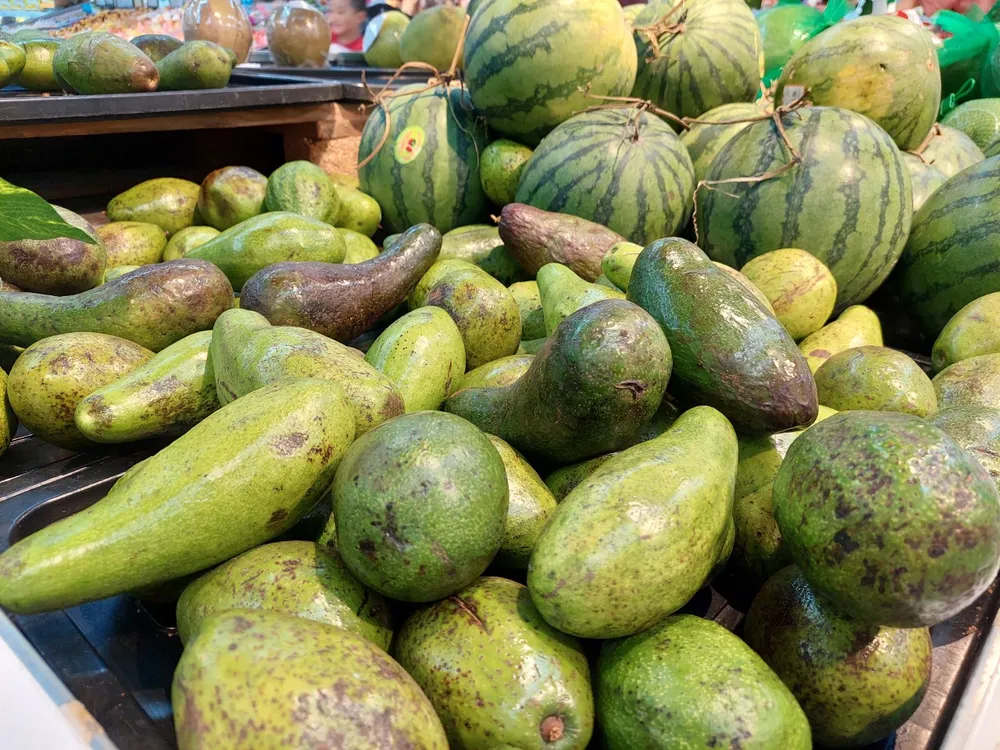 bơ xuất khẩu Trung Quốc.jpg