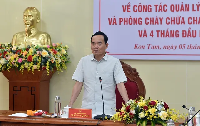 cháy rừng.jpg