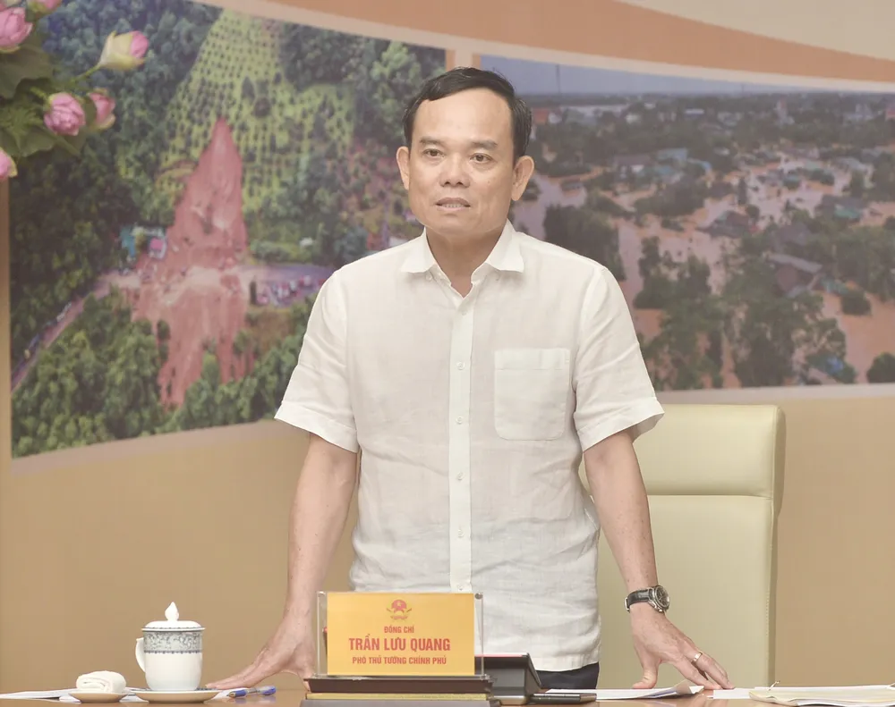 Phó Thủ tướng Trần Lưu Quang phát biểu kết luận tại hội nghị. Ảnh: ĐINH HUY THIÊN TAI.JPG