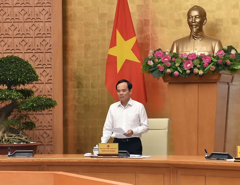 Phó Thủ tướng yêu cầu các địa phương chuẩn bị hồ sơ các vụ vi phạm về chống khai thác IUU, nếu đủ điều kiện, có thể đưa ra xét xử ngay từ 1-8-2024. Ảnh: VGP chống khai thác IUU.jpg