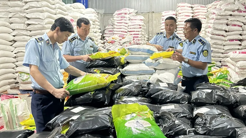 Lực lượng chức năng kiểm tra cơ sở kinh doanh lương thực của ông Nguyễn Minh Tuệ. Ảnh: DMS gạo st25 giả...png