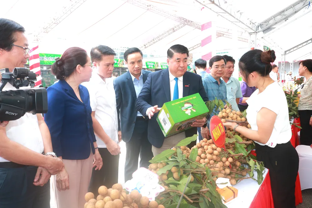 Đại diện Tập đoàn Central Retail tại Việt Nam trao đổi với các hợp tác xã về cách thức đóng gói bao bì, xây dựng thương hiệu. nhãn cổ Hưng Yên.jpg