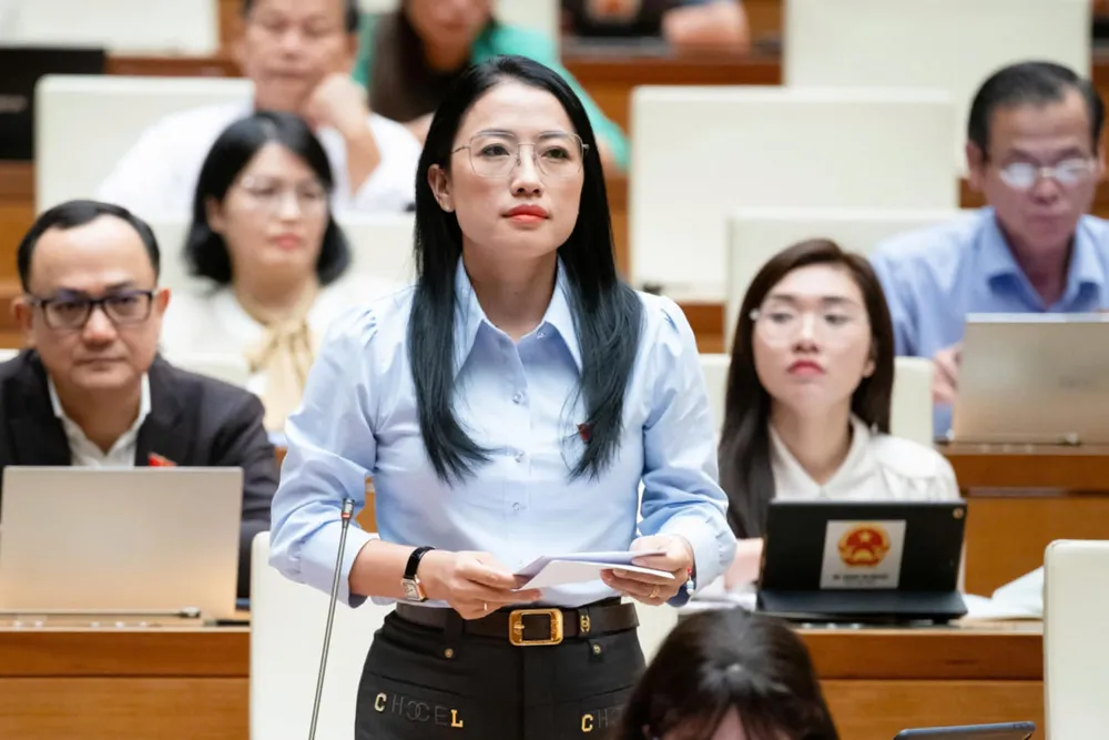 luật đấu thầu