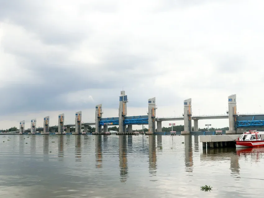 thanh tra chính phủ..jpg