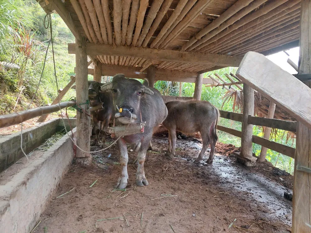 không khí lạnh...jpg