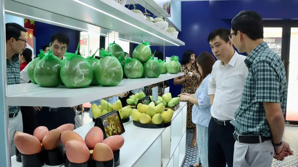 Việc tổ chức phòng trưng bày, chọn lọc những đặc sản trái cây tiêu biểu, không chỉ hỗ trợ tiêu thụ cho bà con nông dân mà còn tạo ra một bộ sưu tập đại diện cho tinh hoa nông sản quốc gia. tinh hoa trái cây Việt..jpg