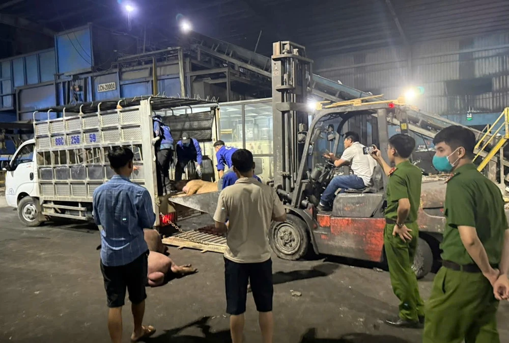 copy - 174817563787025_May_2025_121936_GMTa05647ef4b6afe34a77b1.jpg