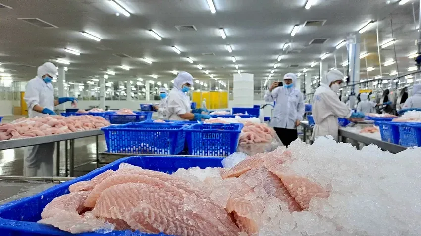 Việt Nam và Hoa Kỳ đều là những nước có thế mạnh về nông nghiệp nhưng có tính chất bổ trợ lẫn nhau, không cạnh tranh trực tiếp. Ảnh minh hoạ: Thu Hà thuy-san-viet-nam-5831-3924.jpg