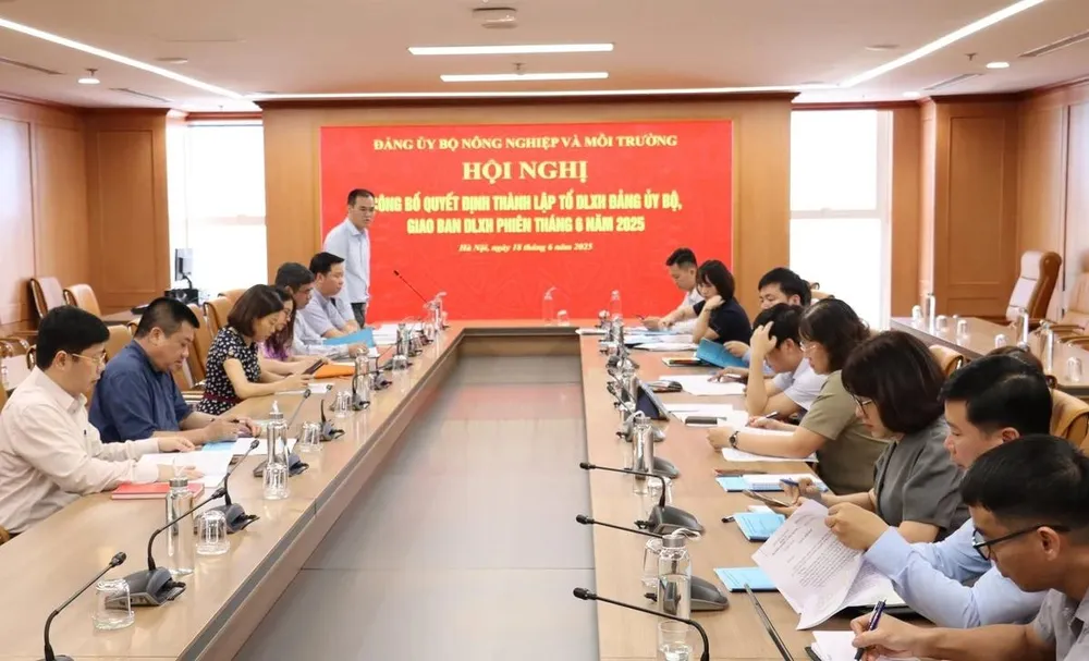 TỔ DƯ LUẬN XÃ HỘI.jpg