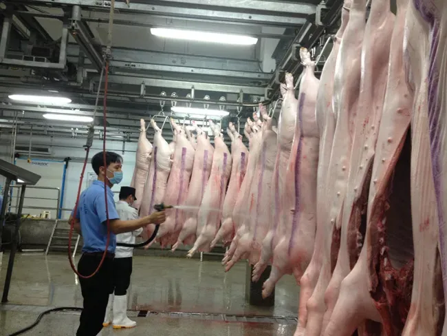 Một cơ sở giết mổ động vật tập trung tại Hà Nội. Ảnh minh hoạ: Sở NN&MT Hà Nội co-so-giet-mo-dong-vat-5524-4807.jpg