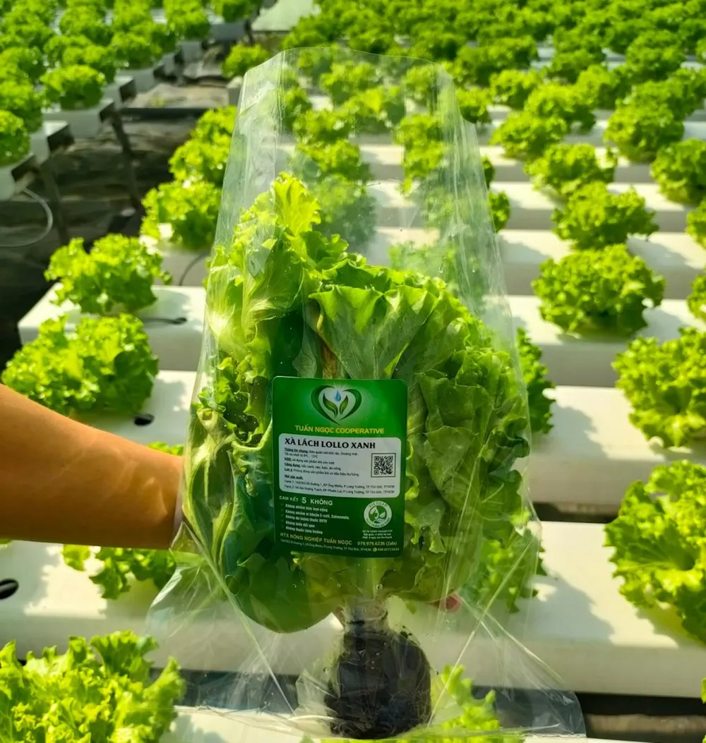 trồng trọt giảm phát thải.jpeg