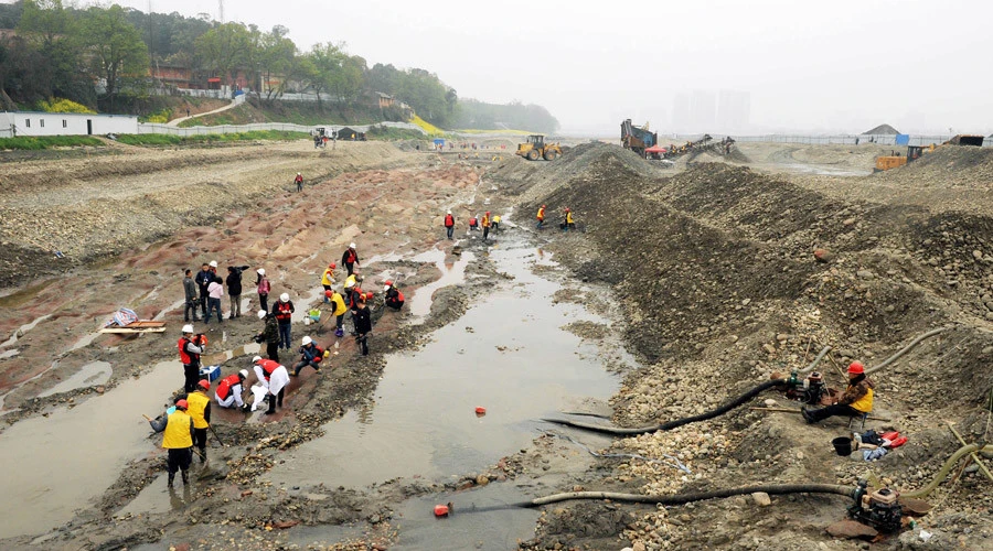 Tìm thấy kho báu nơi 1.000 con thuyền chở tiền bị chìm ảnh 1