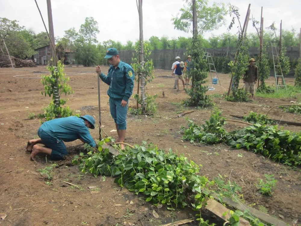 Bình Phước: Giúp dân sửa 30 căn nhà bị tốc mái vì lốc ảnh 2