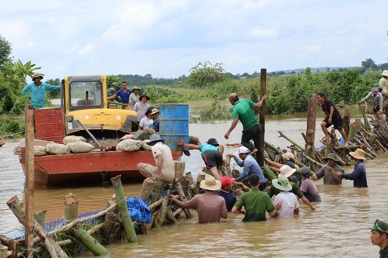 Chùm ảnh hàng trăm người vá đê ở Đắk Lắk ảnh 5