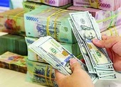 Bị cáo khai bị chủ nợ dọa giết nên làm liều ảnh 2 Công an TP.HCM truy tìm người phụ nữ bị tố lừa 34 tỉ đồng