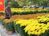 TP Thủ Đức có 5 điểm tổ chức chợ hoa tết