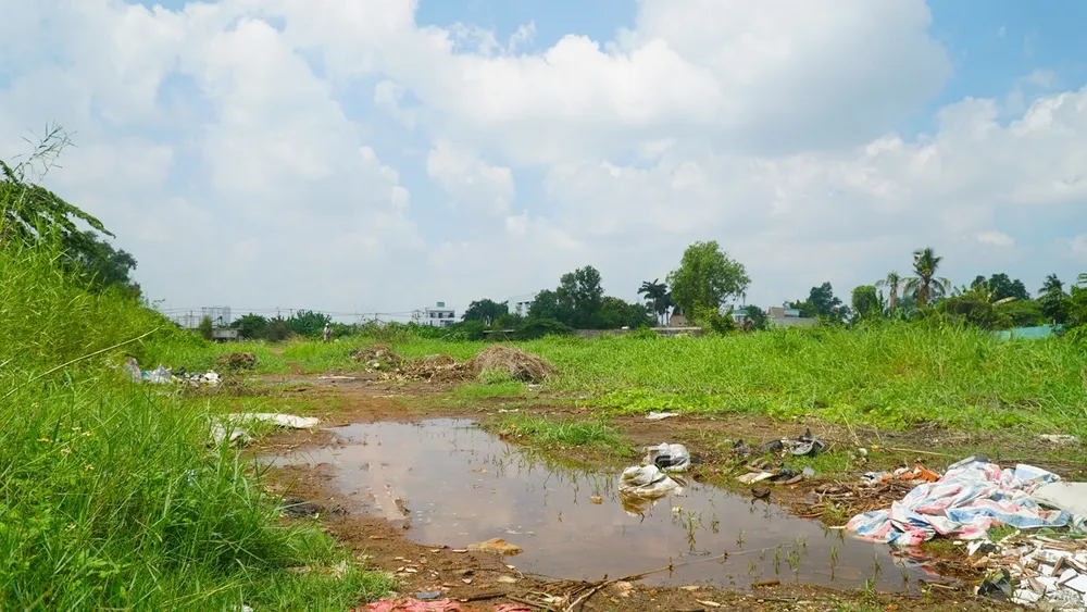 Dự án nghìn tỉ giờ đây trở thành bãi tập kết rác, cỏ mọc um tùm