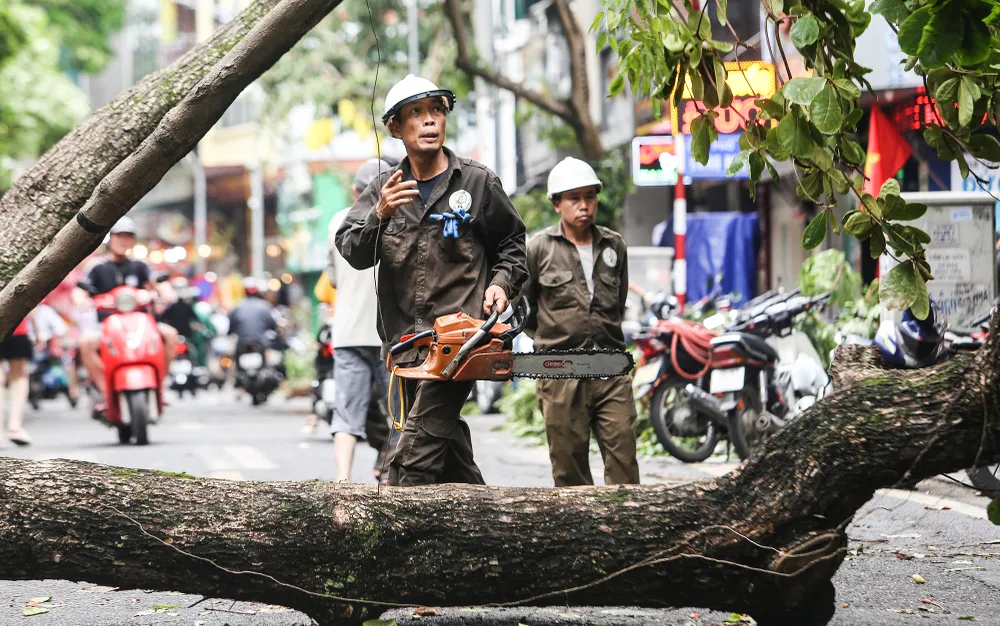 Công nhân mới cưa, cắt cành để dọn dẹp đường phố sau bão số 3