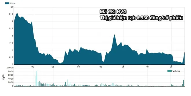 'Vua ca tra' Hung Vuong rao ban thanh ly 20.000 m2 dat tai TP.HCM hinh anh 2
