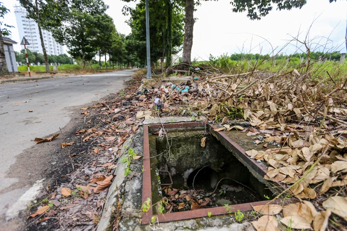 Hàng trăm biệt thự hoang tàn trong khu đô thị mới ở Đồng Nai