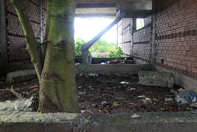 Khu đô thị lớn nhất Cần Thơ thành chỗ chăn cừu