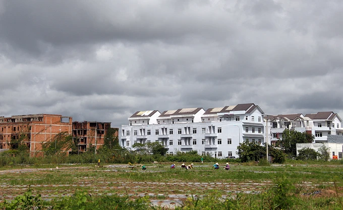 Khu đô thị lớn nhất Cần Thơ thành chỗ chăn cừu