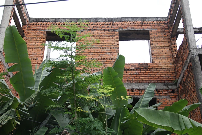 Khu đô thị lớn nhất Cần Thơ thành chỗ chăn cừu