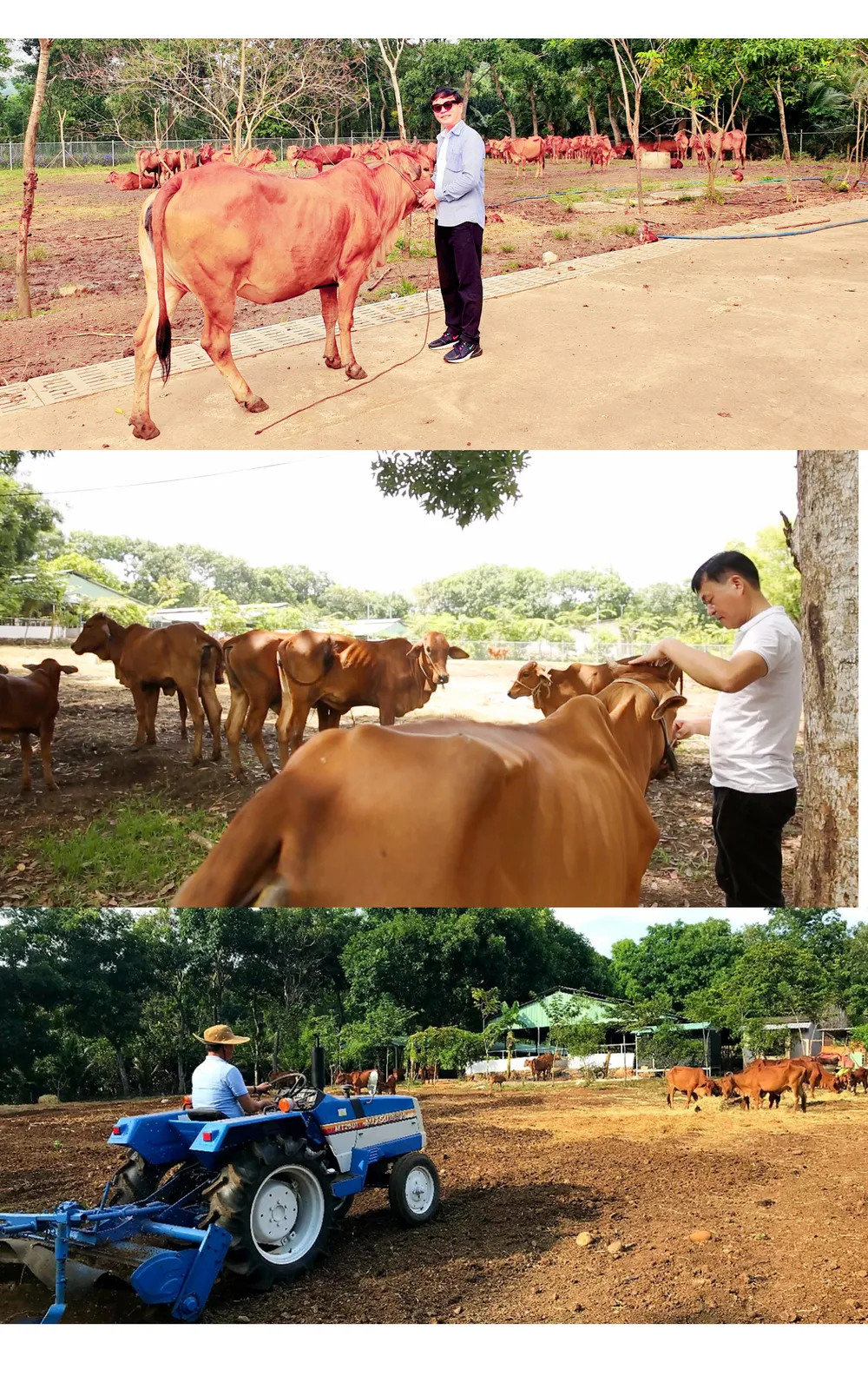 Hành trình 'phải về thôi' của Giáo sư Nguyễn Văn Thuận ảnh 11