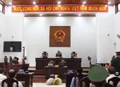 Vụ phá rừng pơ mu chấn động: Đồn phó Biên phòng hầu tòa