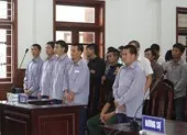 Sáng mai tuyên án vụ phá rừng pơ mu ảnh 3 Đề nghị mức án nguyên đồn phó đồn biên phòng phá rừng pơ mu
