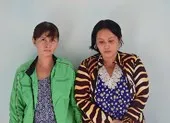 Lãnh án tù vì... trộm cây sứ về chưng Tết ảnh 2 Chở con và em gái đi trộm cắp tài sản