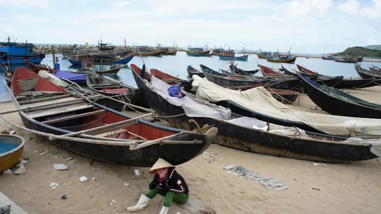 Hà Tĩnh lập hội đồng đánh giá thiệt hại sự cố cá chết do Formosa ảnh 2 cá chết miền Trung