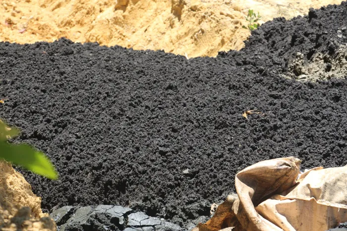 Chất thải được xe tải chở từ Dự án Formosa