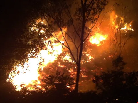 cháy rừng ở Nghệ An