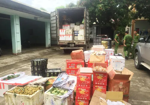 Bắt giữ xe chở 2 tấn hoa quả nhãn mác Trung Quốc lên miền núi bán ảnh 1